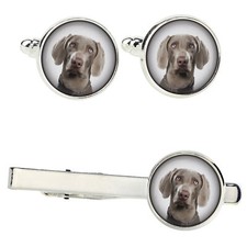 Weimaraner set with clips in a