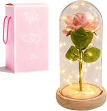 La Bella E La Bestia Eterna