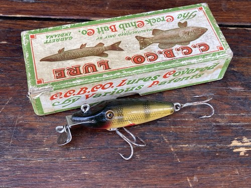 Creek chub early - chub, pikie