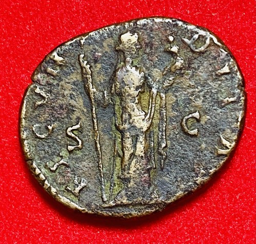 Faustina junior roma ad - as,