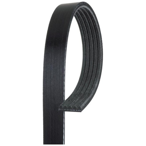 Cinghia poly gates 5pk970 - poly,