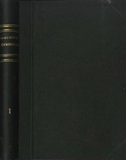 Spiegazione degli Evangeli