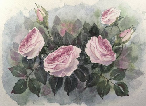 Fiori pregiati rosa opera - rosa,