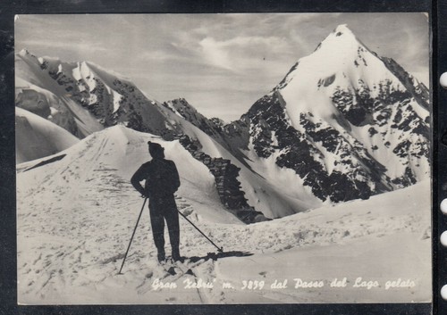 Cartolina gran zebrù dal - gran,