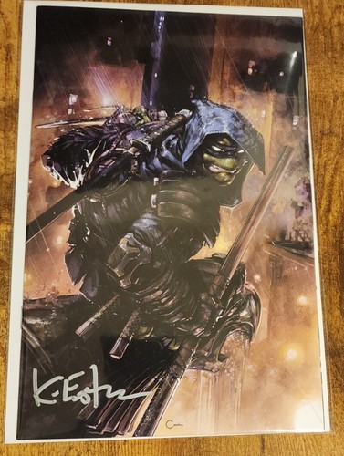 Tmnt last ronin lost - last, years