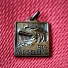 ALPINI BATTAGLIONE VAL PELLICE MEDAGLIA CON MOTTO (MM.30) #PL