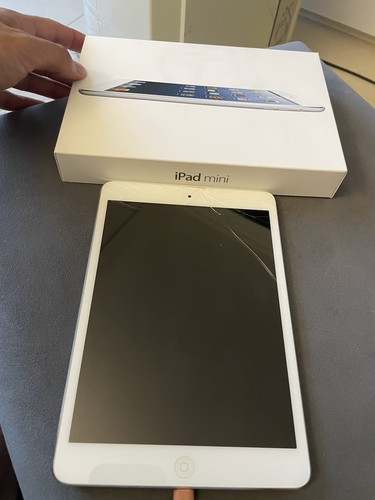 Apple ipad mini - ipad, 1ª