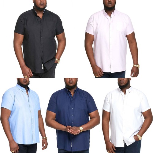 Camicia oxford uomo d555 duke - d555,