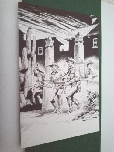 Tex willer danubio fumetto - tex,