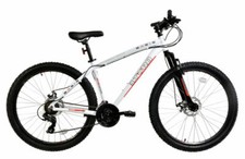 Mountain Bike Basis El Toro