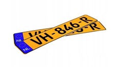 YELLOW PAIR DUTCH PLAIN