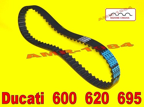 Cinghia distribuzione ducati - distribuzione,