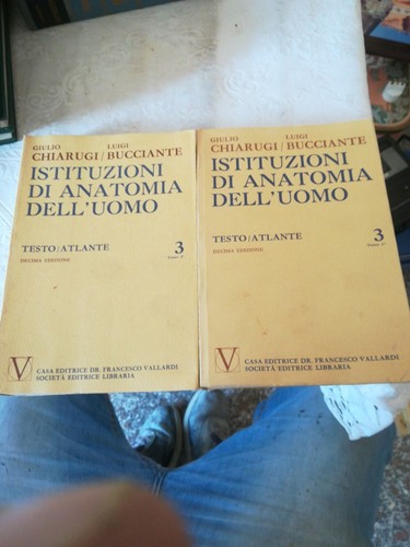 Istituzioni anatomia - di,