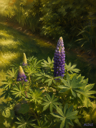 Aldus originale lupini - aldus,