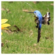 Colibrì Volante A Energia