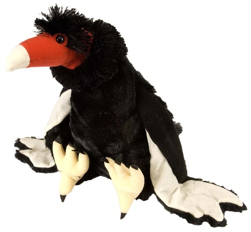 Wild republic turkey vulture - wild,