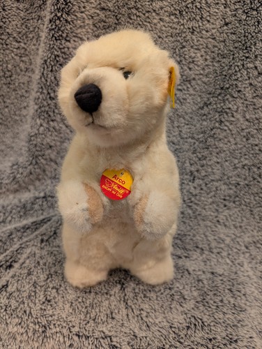 Orso polare steiff - polare, in