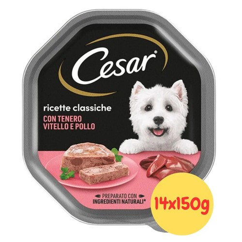 Cesar umido per - cesar, cani