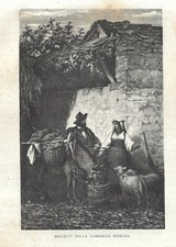 Stampa antica CAMPAGNA DI ROMA