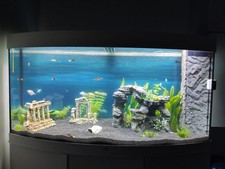 Acquario Vision 260 Juwel a