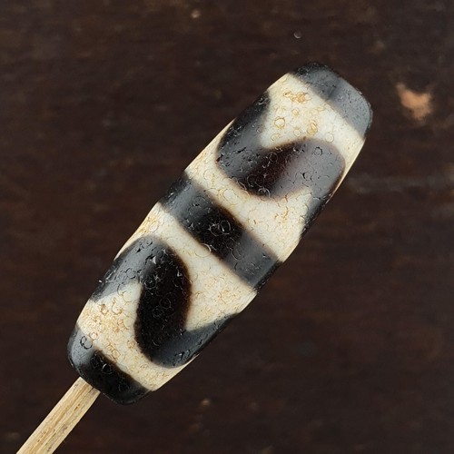 Himalayano tibetano modello