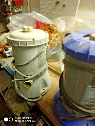 Pompa filtraggio motore - pompa,