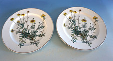 Vintage Villeroy & Boch Botanica 2 piatti piatto Anthemis 24 cm (F025-1275)