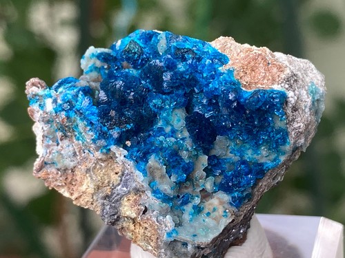 Rara veszelyite blu - veszelyite, con