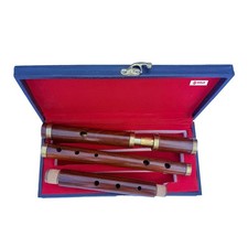 Flauto D irlandese palissandro 4 pezzi strumento musicale tradizionale celtico custodia rigida 26"Ke