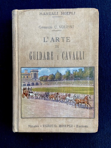 Gen carlo volpini - -, l'arte