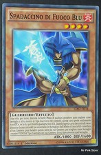 SPADACCINO DI FUOCO BLU  in