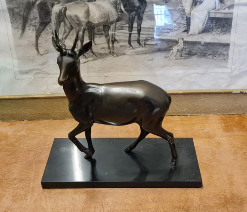 Cervo scultura bronzo - in,