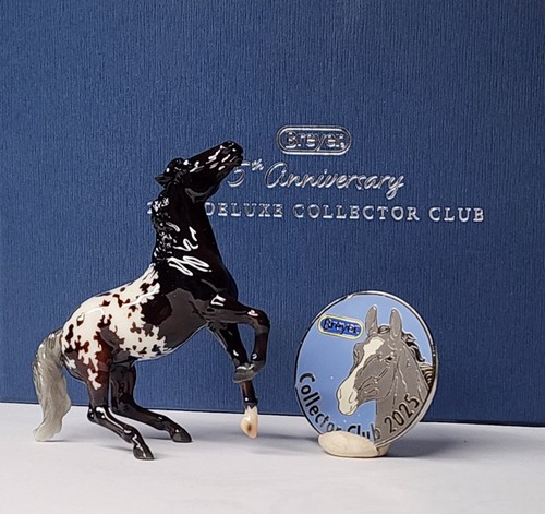 Cavallo semi allevamento