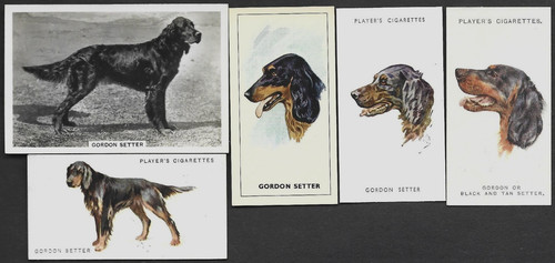 Diverse carte vintage gordon - diverse,