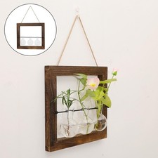 Vaso a Bulbo Trasparente con