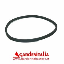 Cinghia di Ricambio