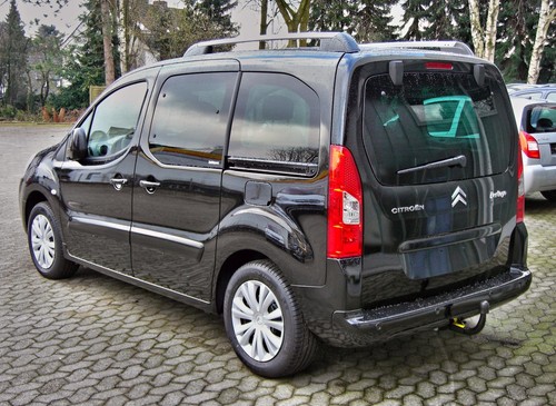 Citroen berlingo gabbia di - citroen,