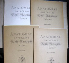 Pauli MASCAGNI ANATOMIAE