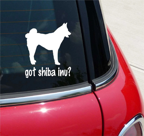 Got shiba inu - inu?, inus