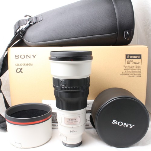 Sony 300mm 8 gm oss - fe, f/2.8