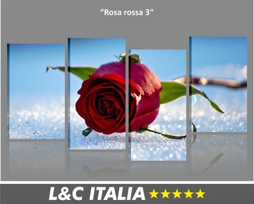Rosa rossa quadro moderno - 3,
