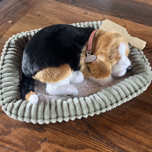 Petzzz puppy pancy - petzzz,