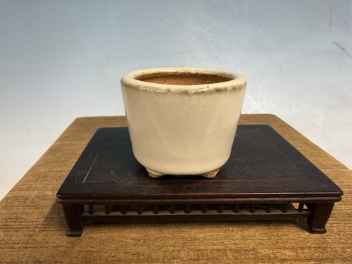 Vaso per bonsai - , tokoname