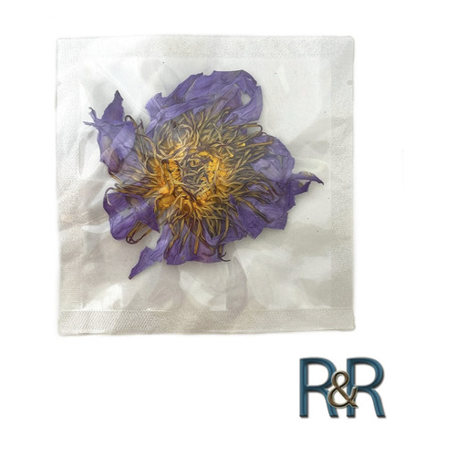 Fiore loto blu intero - loto,