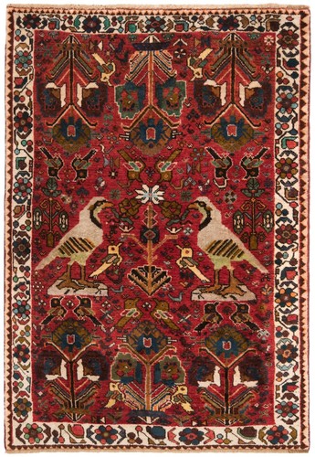 Shiraz 161x107 annodato a - cm,