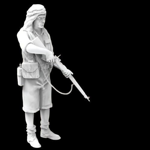 Wwii desert trooper - wwii,