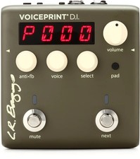 LR Baggs Voiceprint Acustica