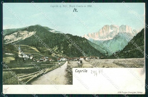 Belluno caprile monte civetta - monte,