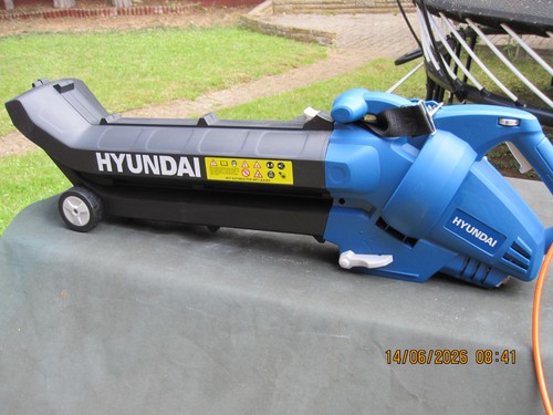Soffiatore foglie hyundai - foglie,