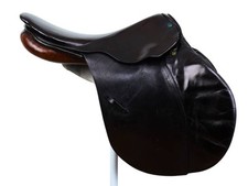 Stubben Sigfrido II - Sella